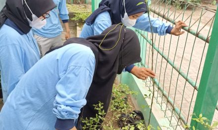 Mahasiswa KKN RDR 77 UIN Walisongo Semarang, Tanam Tanaman Toga di Pojok Sekolah