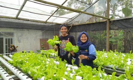 PRODUKTIFITAS DIMASA PADEMI DENGAN MENANAM TANAMAN HIDROPONIK