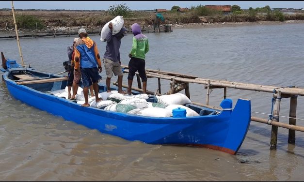 Sering Hujan Di Pesisir Demak,  Harga Garam Mulai Beranjak