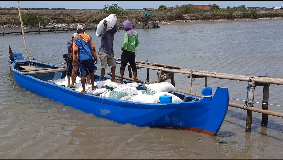 Sering Hujan Di Pesisir Demak,  Harga Garam Mulai Beranjak