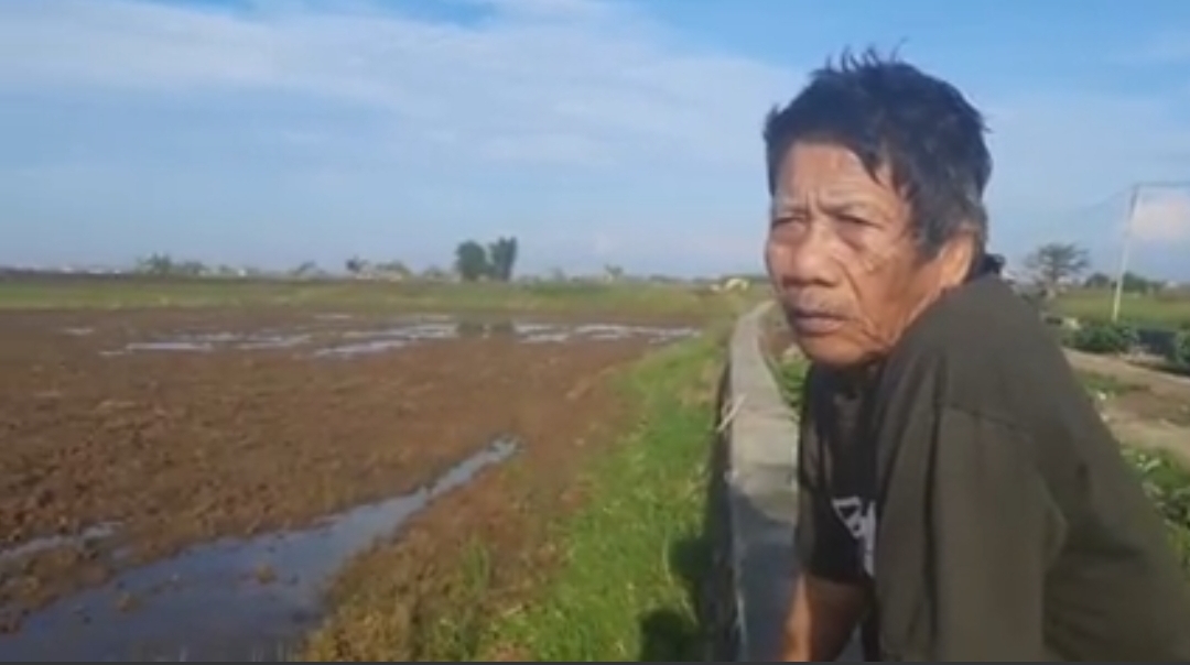 Petani Kalianyar Jepara Bertani Hanya Untuk Meyambung Hidup Ditengah Mahalnya Pupuk dan Obat Pertanian