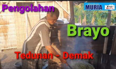 Pak Ahmadi Delapan Tahun Jualan  ” Brayo” Rebus di Pasar Pecangaan