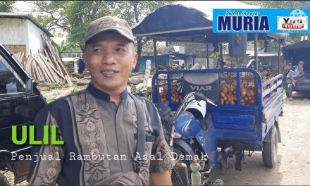 Warga Demak Ini  Meraup Untung,  Pasarkan Rambutan Jepara