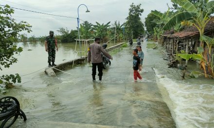 Curah Hujan Tinggi , Air Sungai Jajar Genangi Persawahan dan Jalan