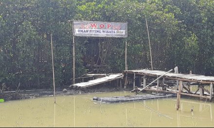 Di Panggung Jepara Ada EkoWisata Omah Piting , Ini Lho Penampakannya