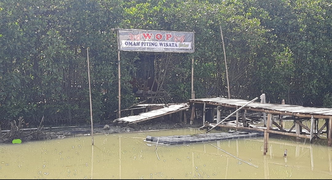 Di Panggung Jepara Ada EkoWisata Omah Piting , Ini Lho Penampakannya