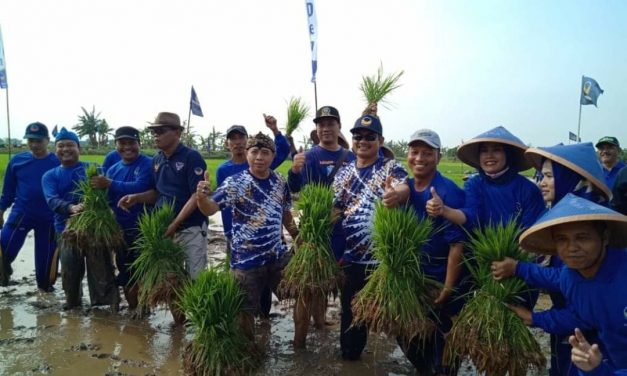 Partai Nasdem Jepara Luncurkan Program Gerakan Menanam Padi, Ini Tujuannya !!!!