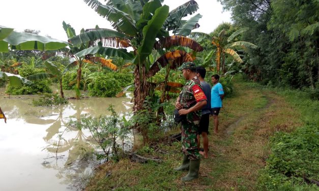 Waspadai Banjir, Babinsa Koramil 03/Wonosalam Tinjau Langsung Kondisi Ketinggian Air Sungai