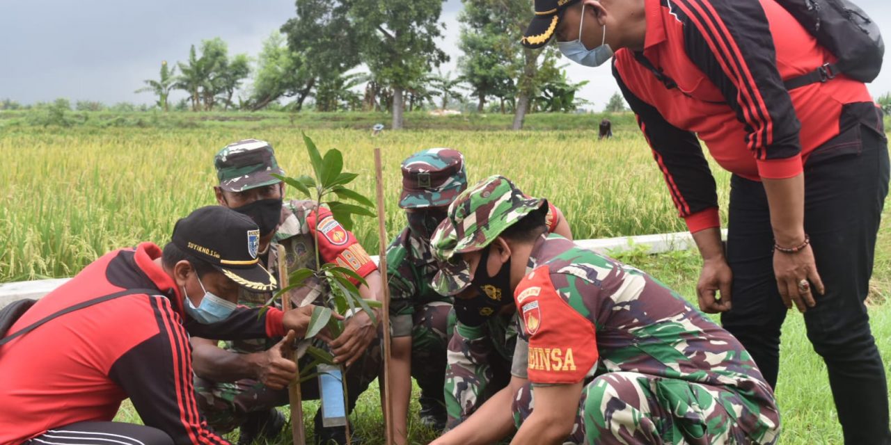 Lestarikan Lingkungan, Jajaran Kodim 0716/Demak Gelar Aksi Tanam Serentak 500 Pohon