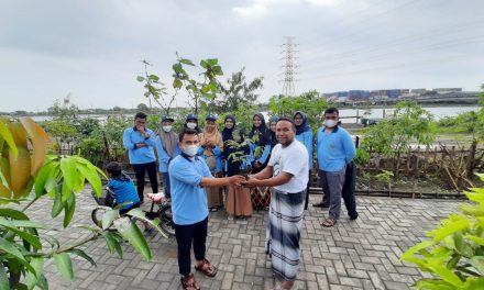 Kampanye Go Green Mahasiswa KKN MIT DR KE 13 KELOMPOK 54 UIN Walisongo Semarang di Kampung Nelayan Tambakrejo