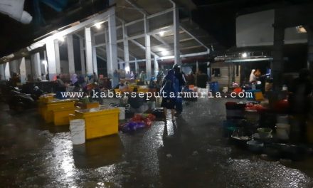 Pasar Ikan Pagi Kedungmutih Demak , Usul Pedagang Saatnya  Di Rehab