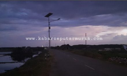 Lampu Jalan Tenaga Surya Kedungmalang – Semat  Jepara Banyak Yang Mati