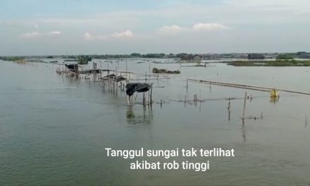 Rob Tinggi Genangi Perkampungan dan Area Pertambakan Kerugian Milyaran