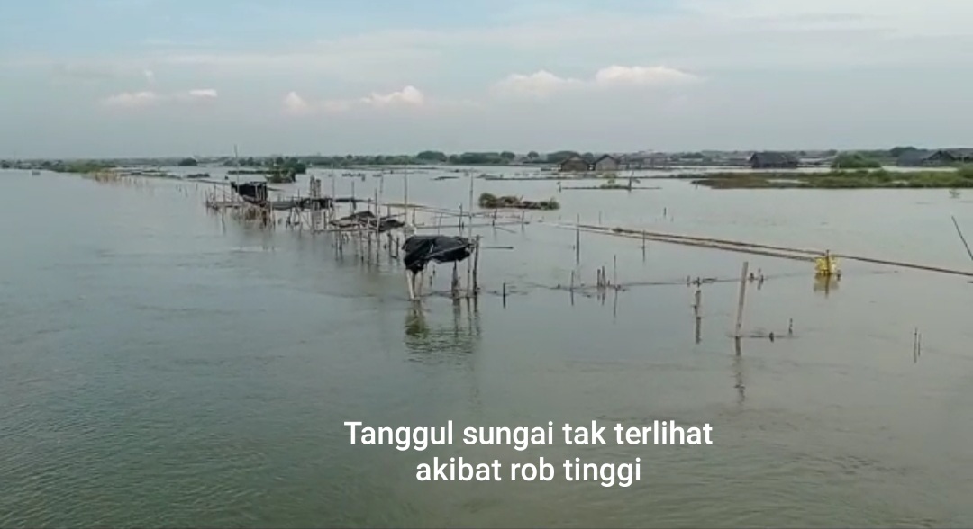 Rob Tinggi Genangi Perkampungan dan Area Pertambakan Kerugian Milyaran