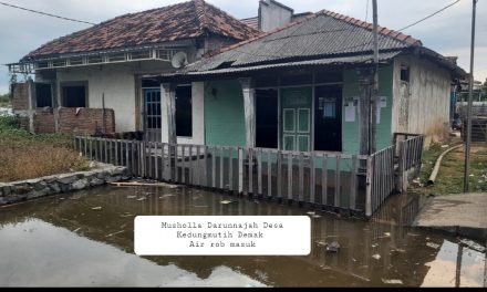 Rob Tinggi Sebuah Musholla Di Pesisir Demak Tergenang Air