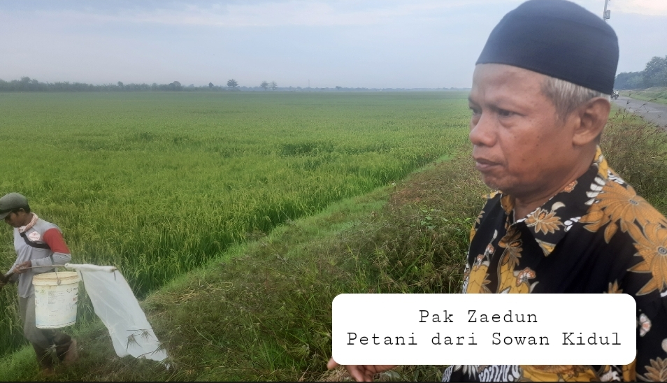 Pak Zaedun Sowan Kidul , Puluhan Tahun Bertani dan Berdagang Agar Punya Tabungan