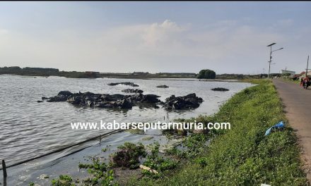 Rob Tinggi dan Hujan Di Pantura Jawa , Pegaram Jepara Kesulitan  Produksi Garam