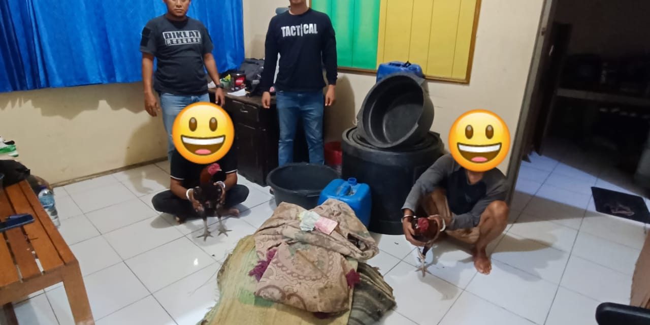 Polsek Wedung Ungkap Tindak Pidana Judi Sabung Ayam