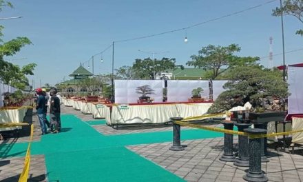 Yuk !!! Lihat Kontes  Bonsai Nasional 2022 Di Wisma Halim Demak