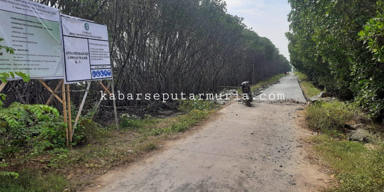 Jalan Tambak  Desa Kalianyar Selesai Di Beton,  Angkut Garam Jadi Lancar