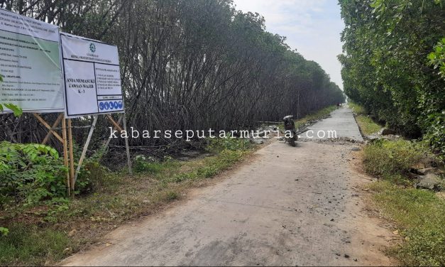 Jalan Tambak  Desa Kalianyar Selesai Di Beton,  Angkut Garam Jadi Lancar