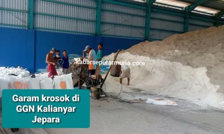 Harga Garam Bagus , GGN Jepara Jual Garamnya Kosongkan Gudang