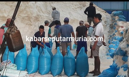 Harga Garam Rakyat Dari Dulu Hingga Sekarang Seperti Harga “Lombok”