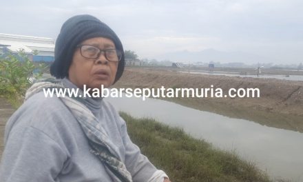 Ibu Gembala Kerbau Korban Hipnotis , Uang Rp 3 Juta dan Cincin Dibawa Kabur