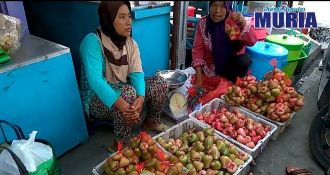 Jambu Citra dan Delima Bisa Beli Di Wisata Religi Makam Sunan Kalijaga