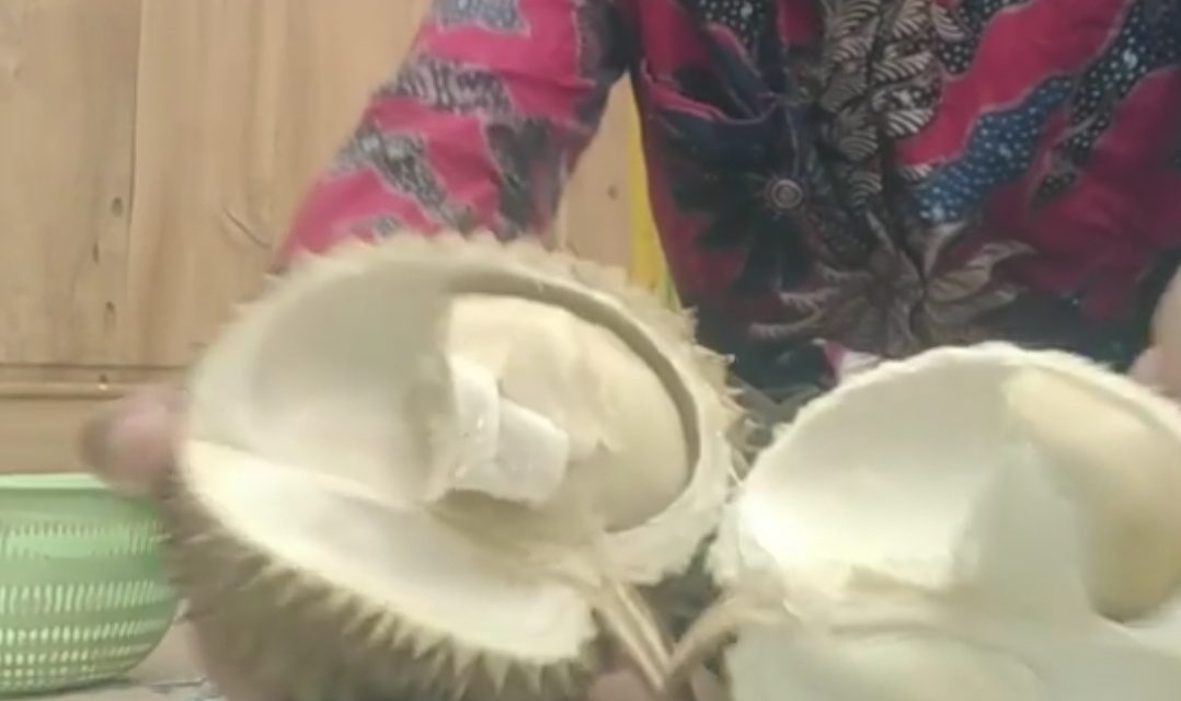 Beli Durian Lebih Puas Makan Ditempat , Ada Yang Kecewa Ketika Di Makan Di rumah.