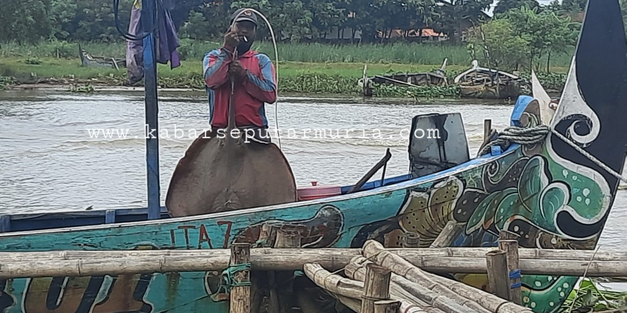 Usai Ombak Nelayan Demak Mulai Melaut dan Inilah Hasilnya