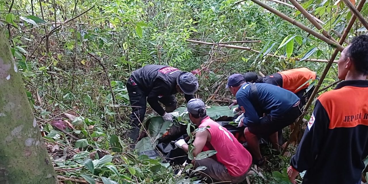 Mayat Tanpa Identitas Di Temukan Pencari Rebung Di Gantungan Tanjung Jepara