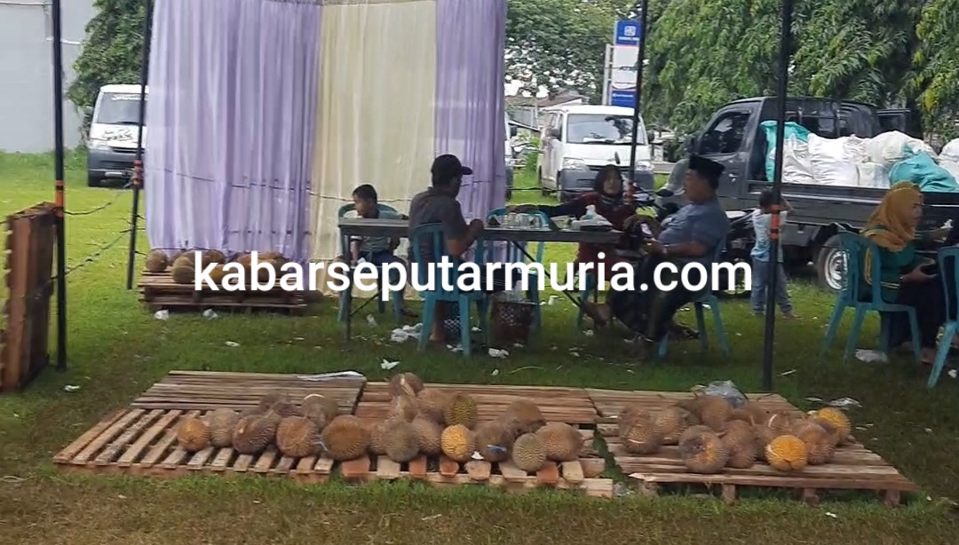 Makan Durian Sepuasnya Rp 80 Ribu di Jepara , Warga Demak Kecewa Tak Kebagian Stok Terbatas