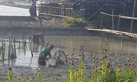 Rejeki Akhul Menangkap  Ikan dan Udang Dengan Bubu di Sungai