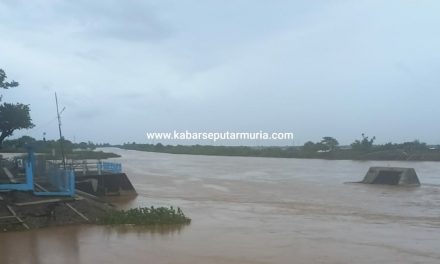 Bendung Mbungpis Gerdu Masih Aman , Air Banjir Hanya Genangi Bantaran Sungai