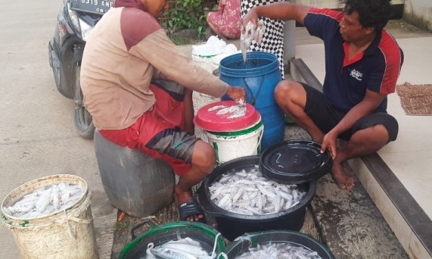 Ombak Reda Nelayan Mulai Melaut , Semoga Solar Selalu Ada