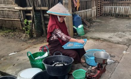 Bu Sumiah 10 Tahun Bantu Hidupi Keluarga Dengan Mengepul Udang dari Tambak