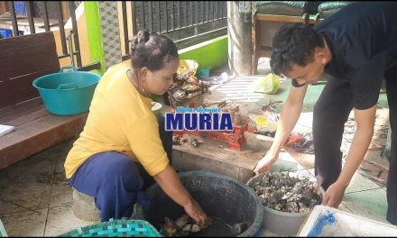 Bang Sugoto 10 Tahun Tekuni Jual Beli Kepiting Hijau , Kualitas Ekspor dan Biasa