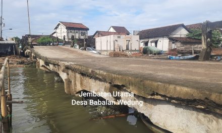 Ini Permintaan Warga Babalan Wedung , Terkait Jembatan dan Pasar Desa