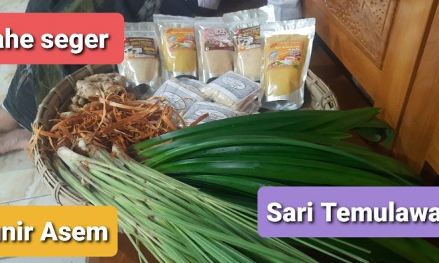 Jahe Seger Produksi Desa Tedunan Demak Bisa Dibeli Sistem Reseller