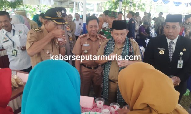 Tim Penilai Lomba Desa di Sambut Meriah di Desa Tedunan Demak