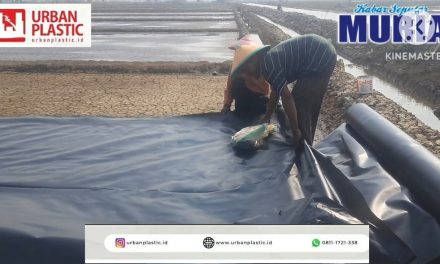 Geomembran Tingkatkan Produksi dan Kualitas Garam Rakyat