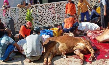 Qurban di Masjid Jami’ Baitul Makmur 7 Sapi 2 Kambing di bagi 1.000 Rumah