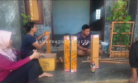 Mas Budi Warga Sowan Kidul Jepara , Kembangkan Pembibitan Tanaman Anggur Import