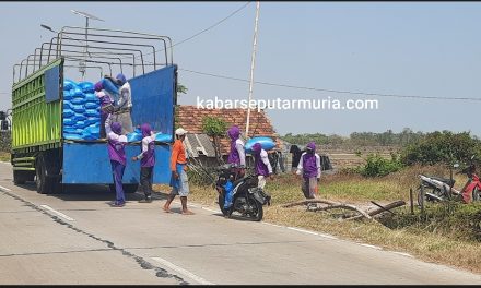 Petambak Garam Jepara Panen Kembali , Keluhkan Harga Yang Terjun Bebas