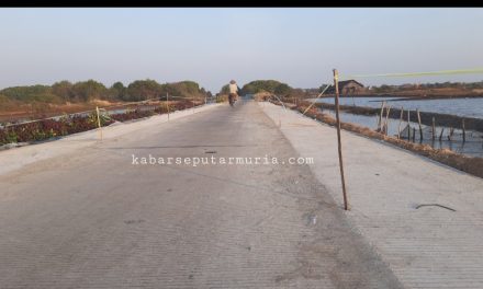 Jalan Raya Kalianyar – Surodadi Jepara di Lebarkan , Angkut Garam Bertambah Lancar