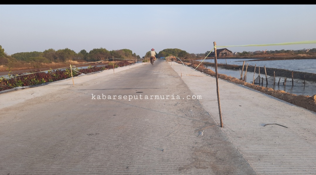 Jalan Raya Kalianyar – Surodadi Jepara di Lebarkan , Angkut Garam Bertambah Lancar