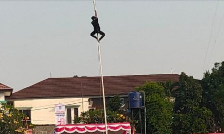  Zani Abdillah Tukang Soundsytem Viral !!!  Pemanjat Tiang Bendera