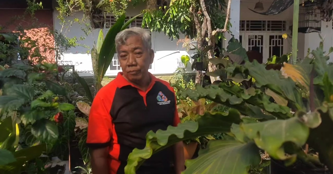 Widodo Pecinta  Tanaman , Koleksinya Boleh di Beli