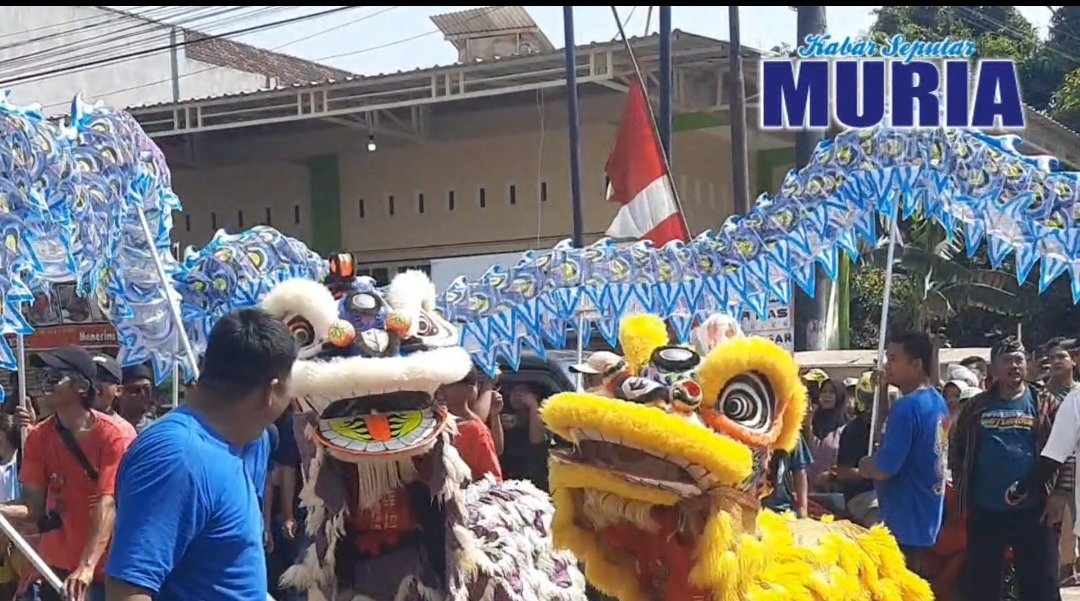 Barongsai Tri Mukti Welahan Jepara , Cap Go Meh Pernah Sampai Bali dan Padang